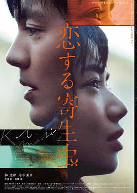 情书 1995年上映 纯爱电影海报
